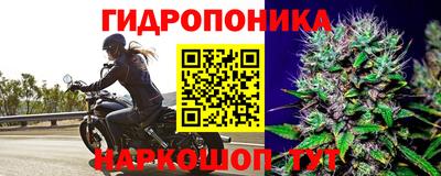 твердый Апшеронск