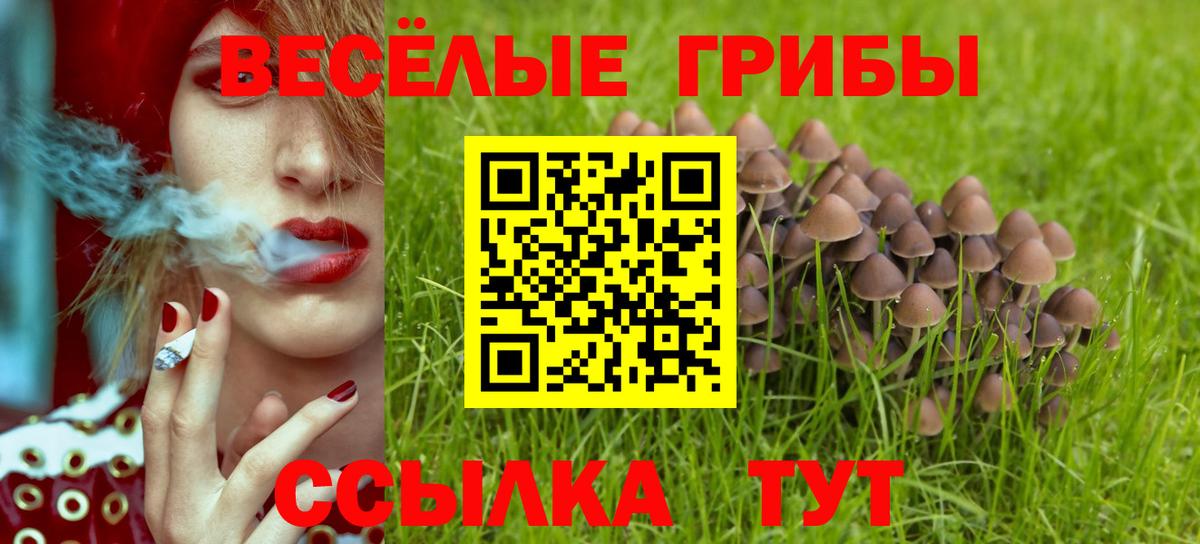 Галлюциногенные грибы Cubensis Великий Устюг