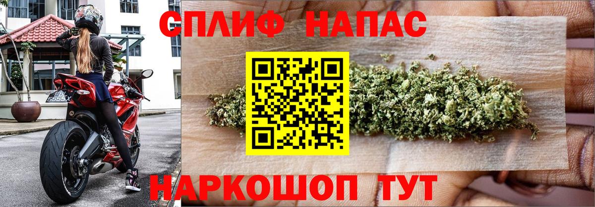 Конопля гибрид  Каннабис сатива  Великий Устюг  Конопля семена  МАРИХУАНА индика  Вход с VPN 